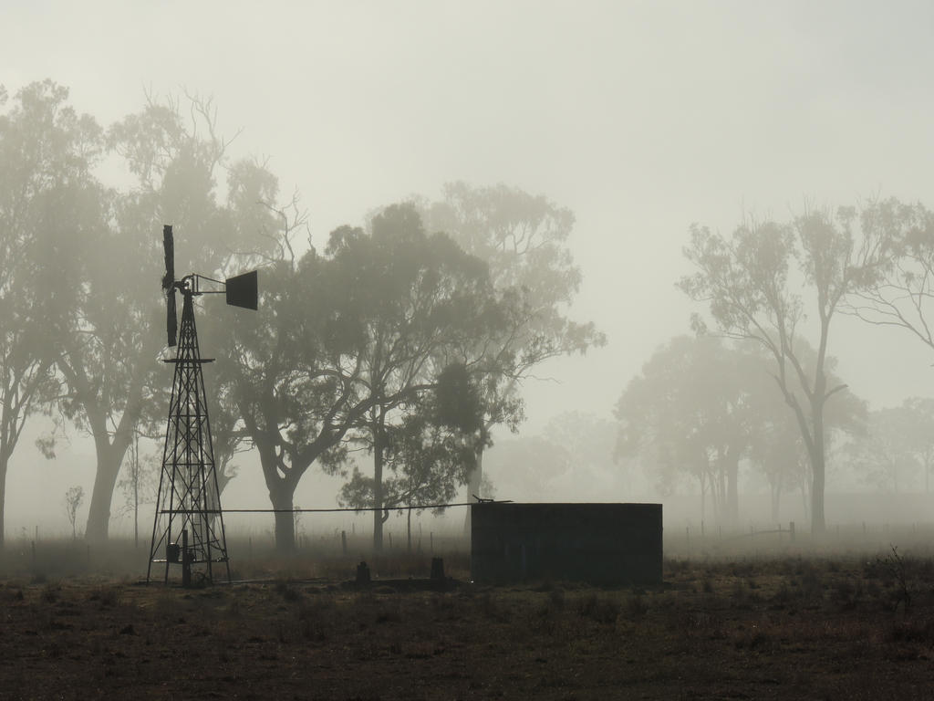 Morning Fog