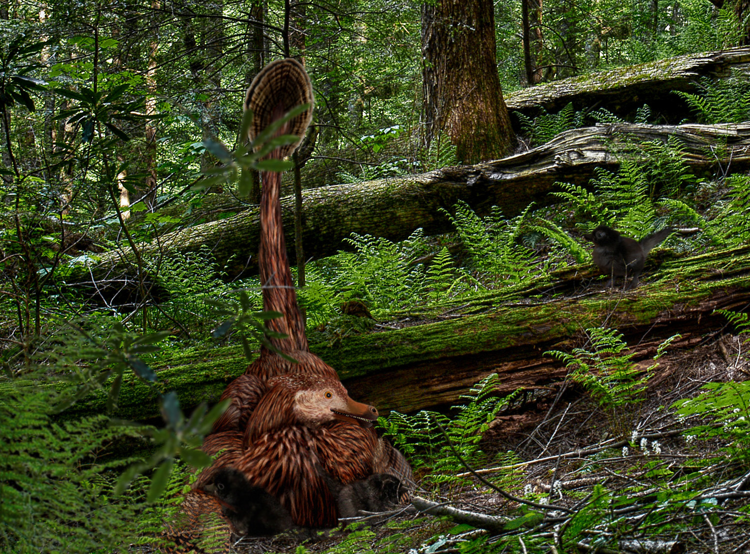 Boston Raptor Hen Raptor Hen And Chicks by PhilipEdwin on DeviantArt