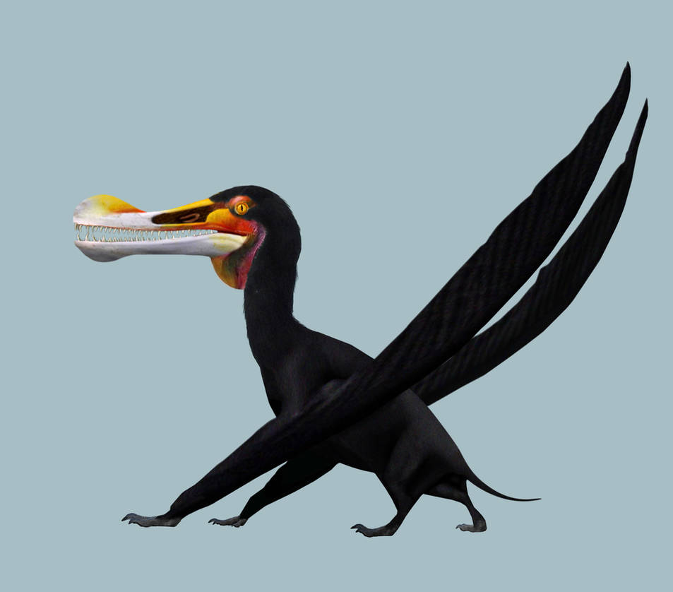 Ornithocheirus simus by PhilipEdwin