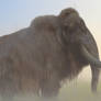 Woolly Mammoth