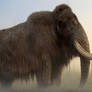 Woolly Mammoth
