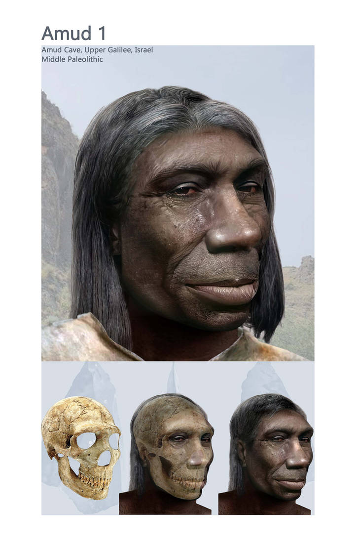 Amud 1 Neanderthal by PhilipEdwin on DeviantArt