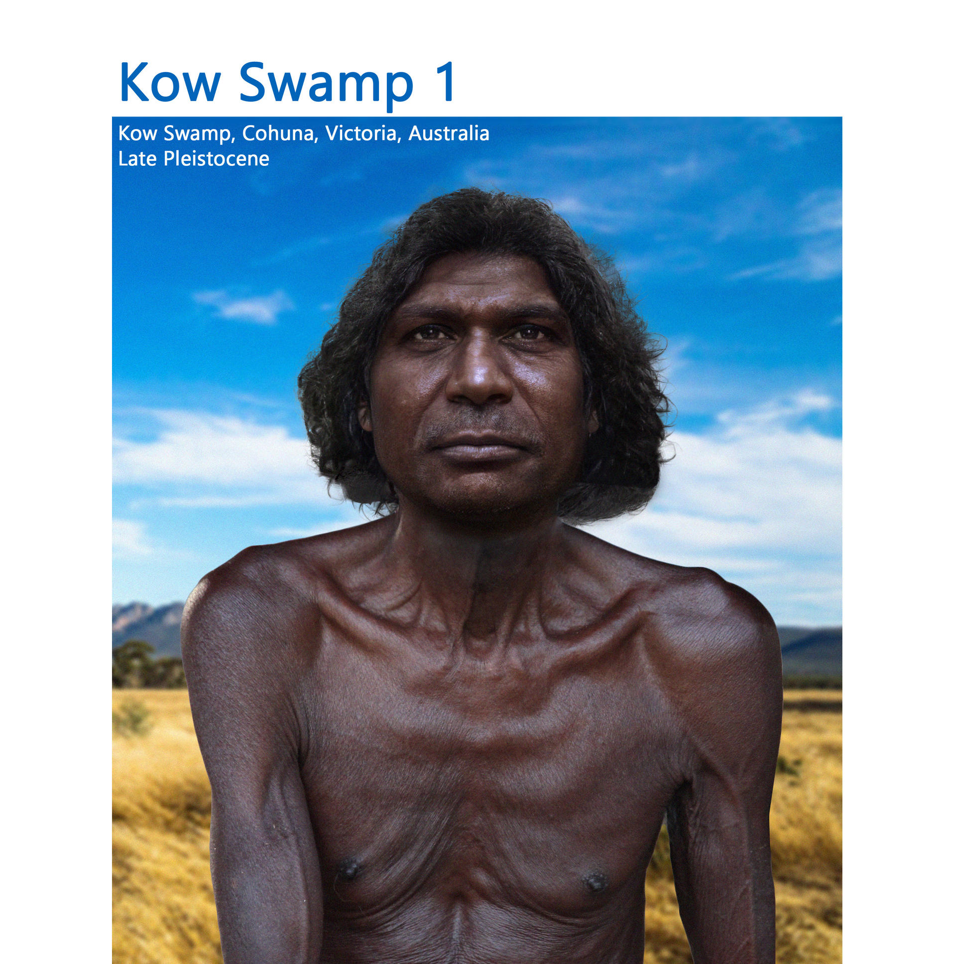 Kow Swamp 1 by PhilipEdwin on DeviantArt