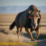 Archaeotherium mortoni