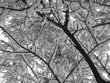 It was snowing someday III BW