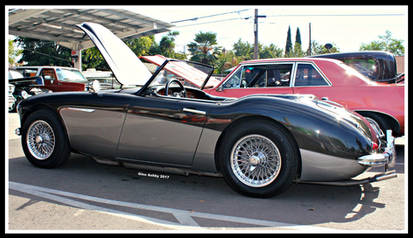 Austin Healey