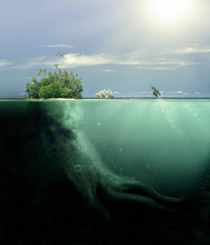 Octopus Isle by PSHoudini Octopus Isle by PSHoudini