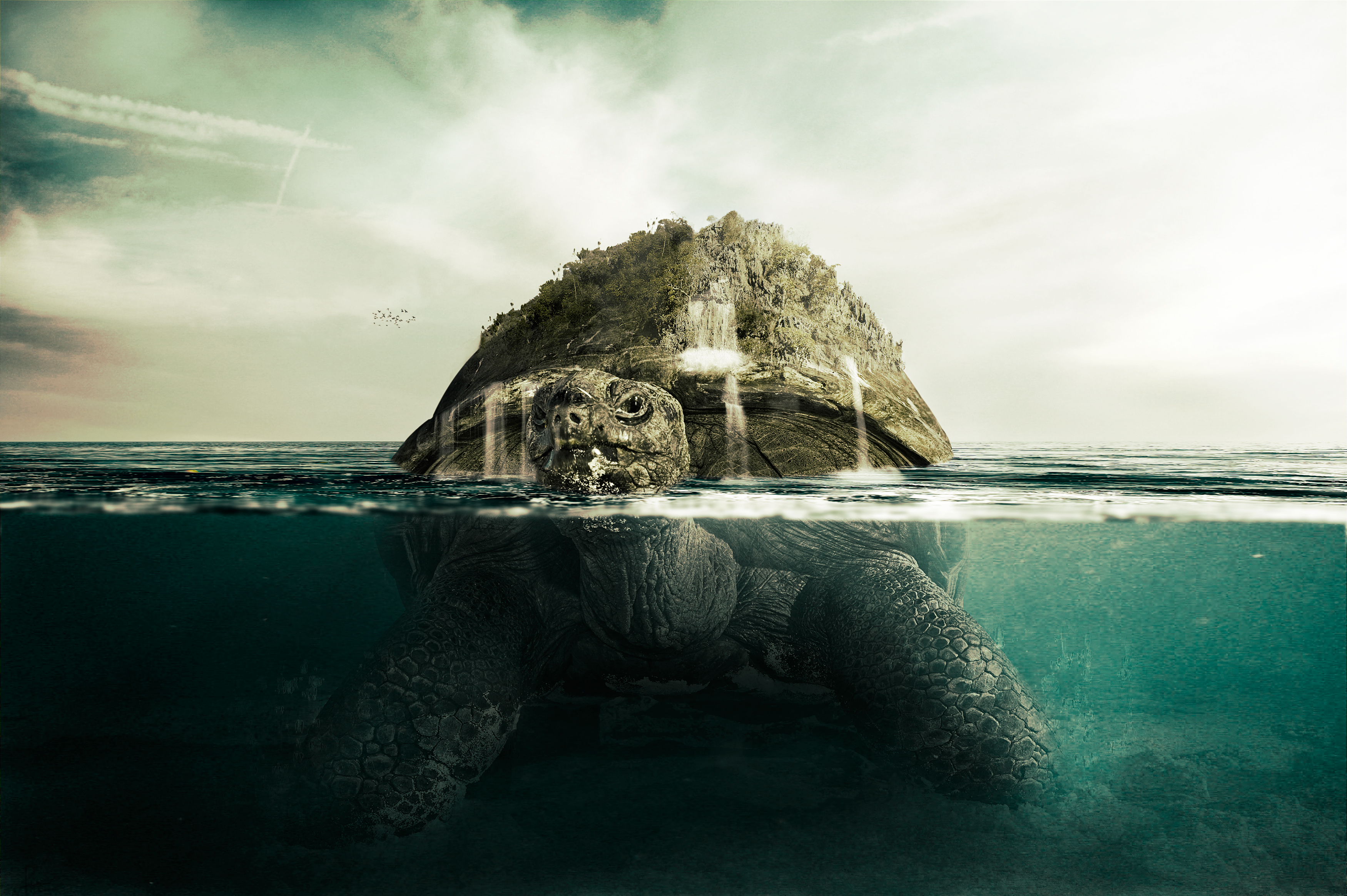 Giant Turtle + tut by PSHoudini
