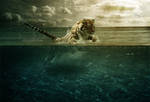 Tiger Leap in the Water