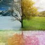 4 Seasons