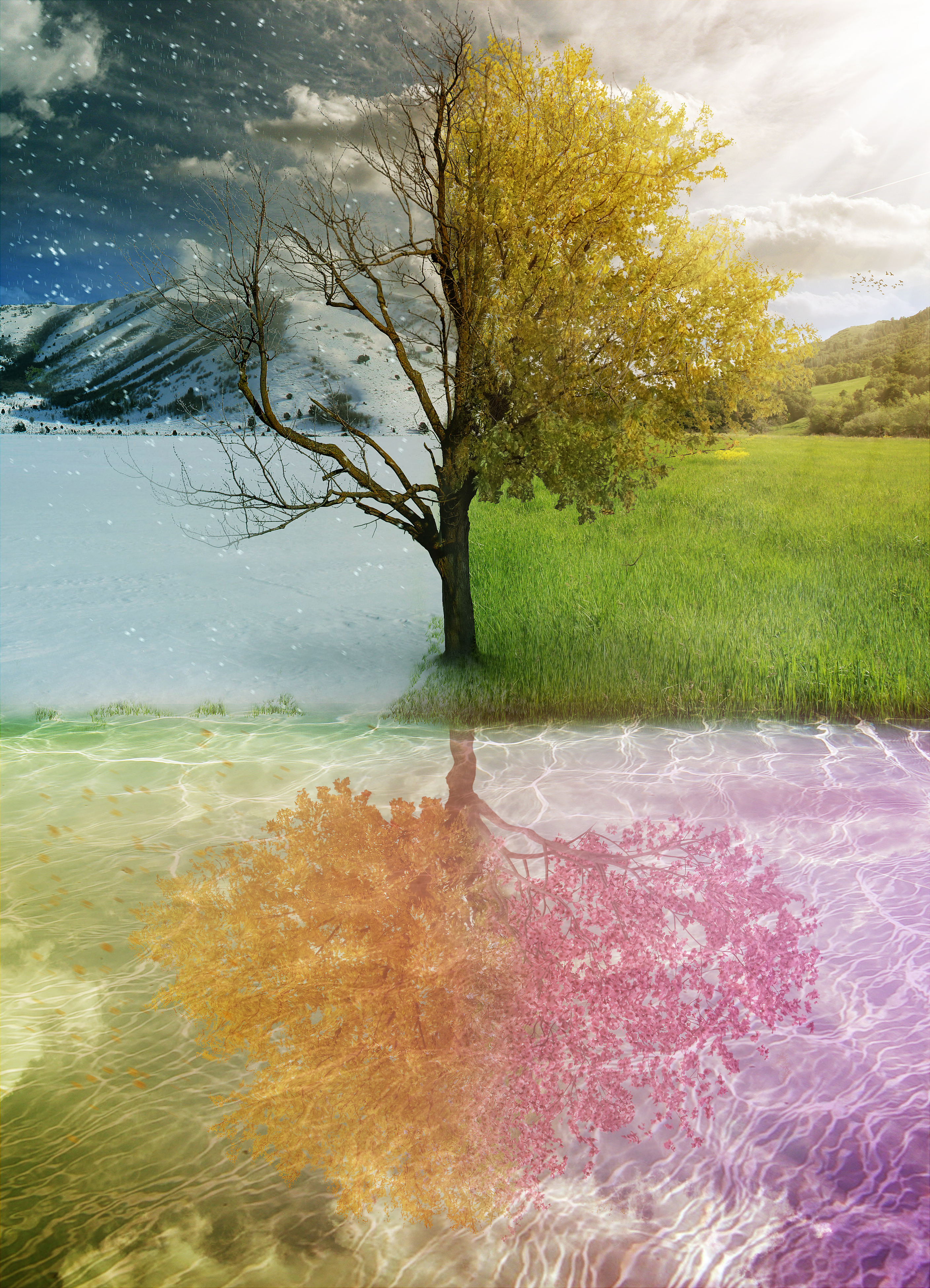 4 Seasons by PSHoudini