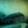 Hit the Road - Sea