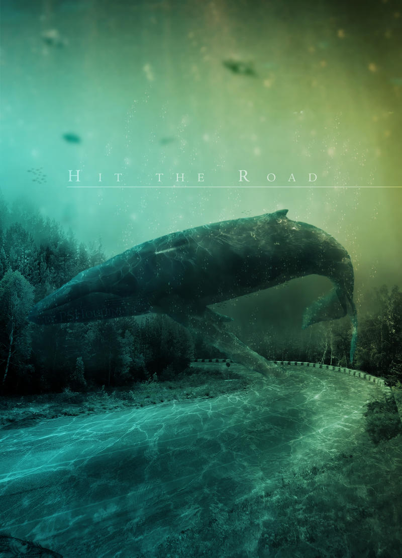 Hit the Road - Sea