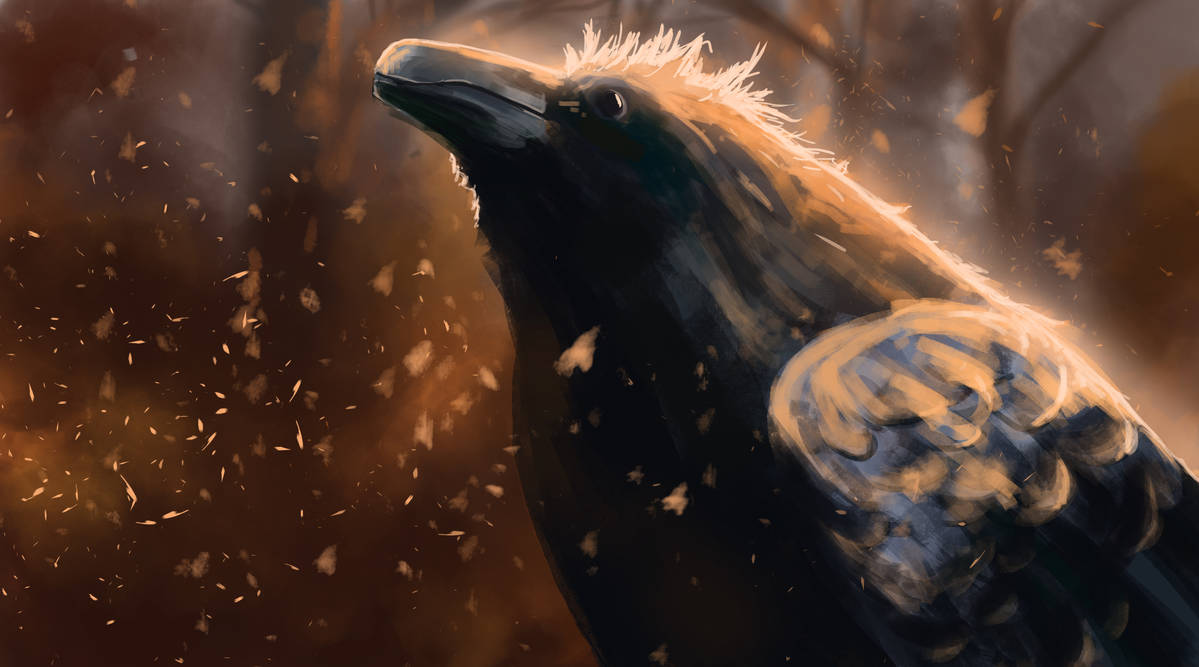 King Raven by StargazerRJL on DeviantArt