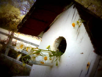 Birdhouse of Love. :)