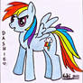 DASHIE