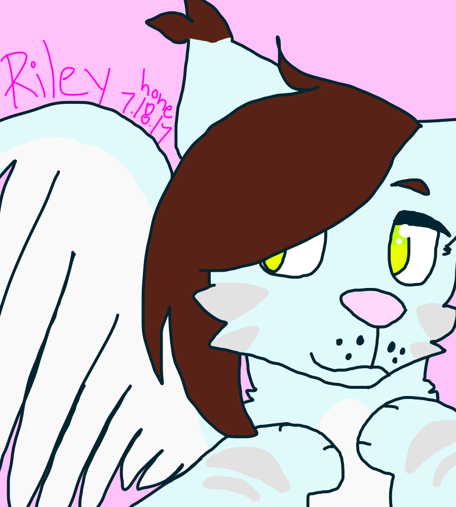 Deviantart Rojobird Riley riley by Honeytailz on DeviantArt