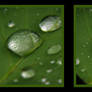 water drops 2 stereoscopic