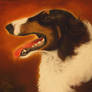 Russian borzoi