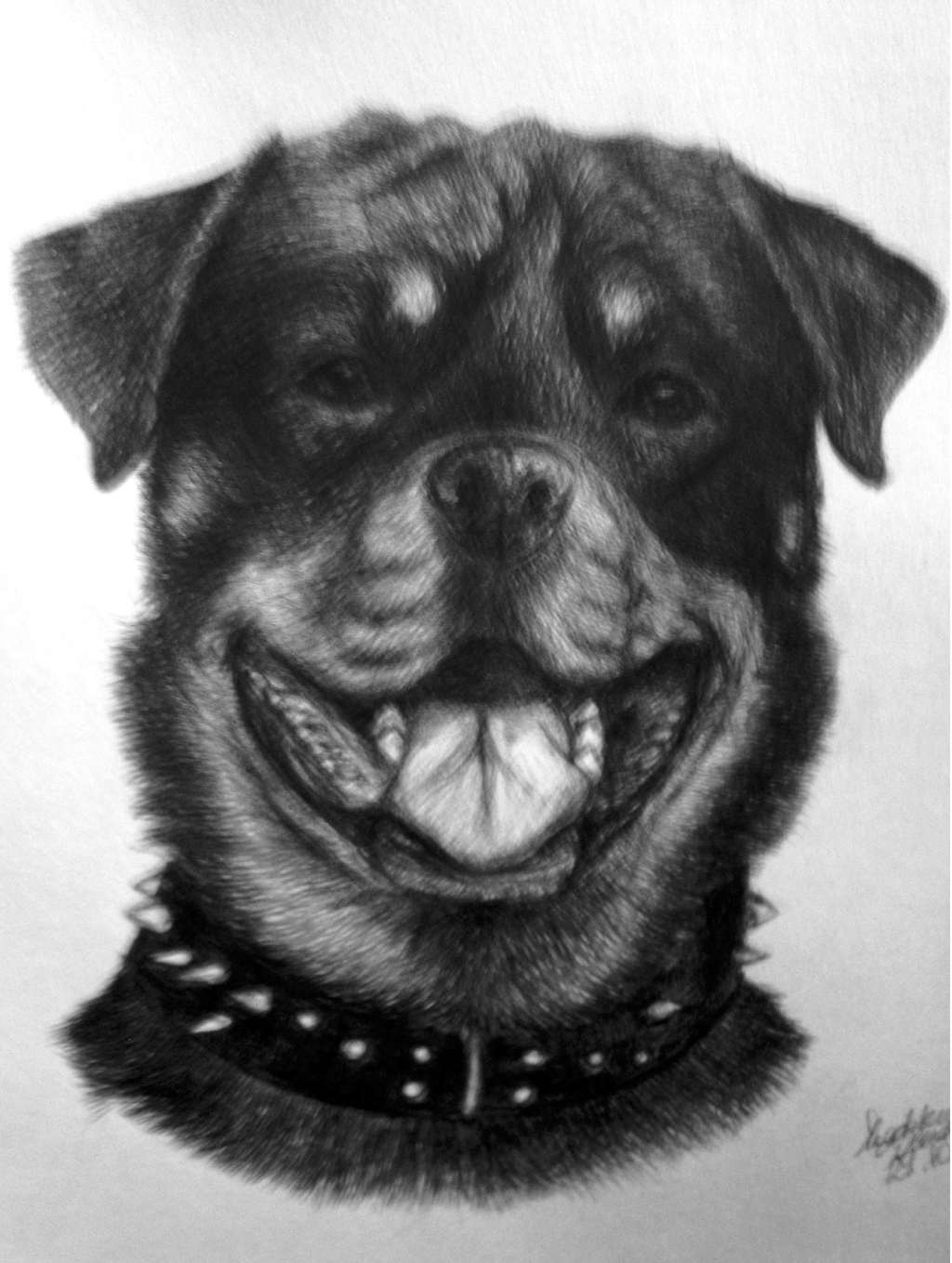 Rottweiler