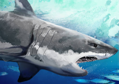 Explore the Best Shark Art | DeviantArt