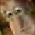 I Luv B O O K S