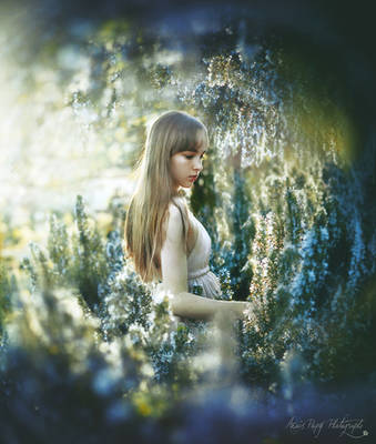 Lila by anaispopy