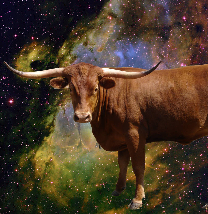Cow Multiverse Cow in Space by mmaauudd on DeviantArt