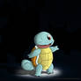 007 Squirtle (Project Pokedex)