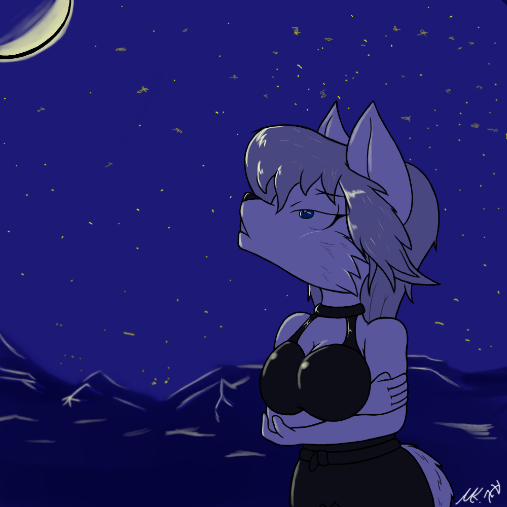 Starry Gaze