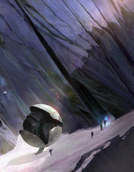 Expedition