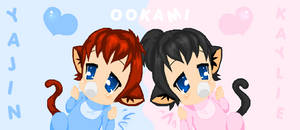 Ookami twins