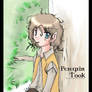 LotR - Peregrin Took