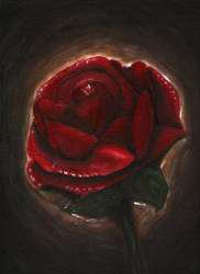 Red Rose Acrylic
