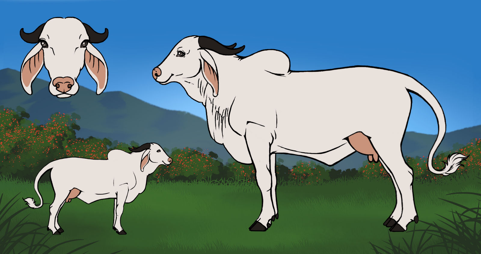 Cow Lua Bumba Cow Ref Custon by Lua-Zita on DeviantArt