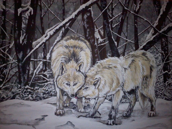 Snow Wolves