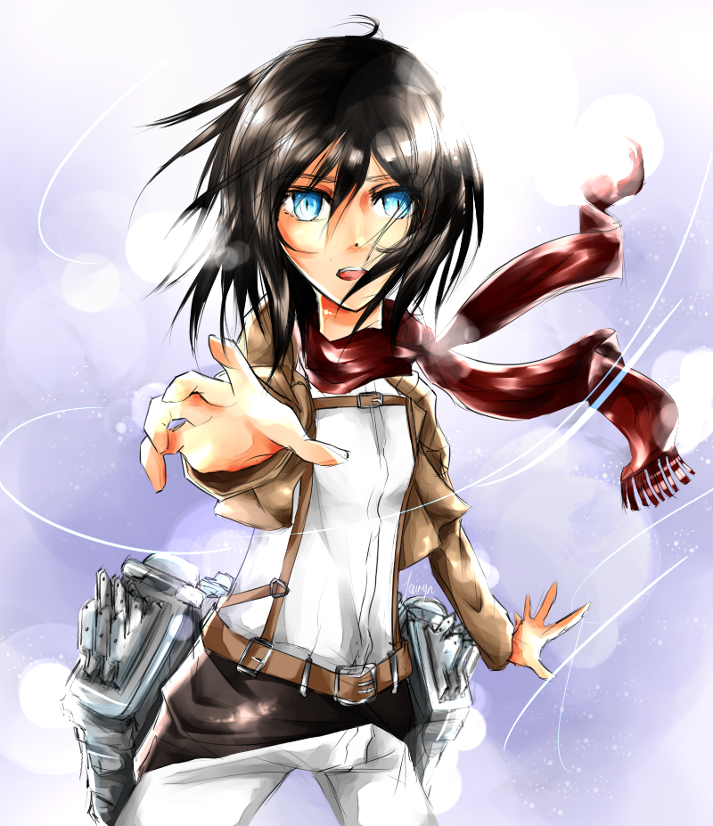 :: SNK :: Mikasa Ackerman