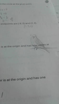 Algebra 3 boredom birb