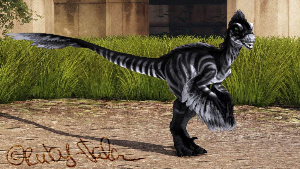 Ruby Tal Con Grey-Tiger Feathered Novaraptor (Fan-Reskin) by Ruby-Talon on DeviantArt