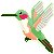 Free Hummingbird Icon