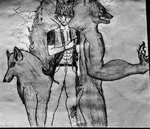Kiba Grey: Wolf and Werewolf