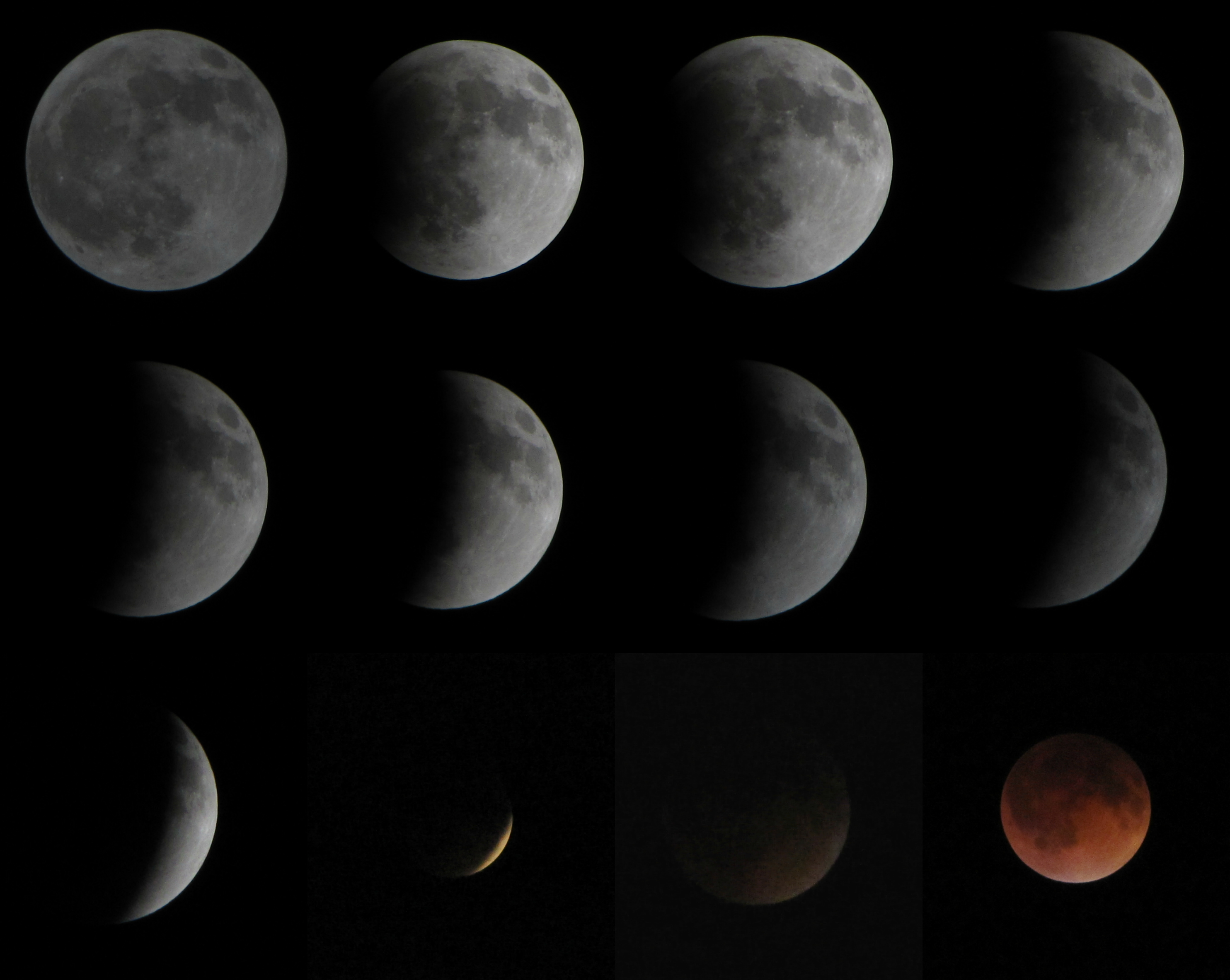 Blood Red Moon Collage (Beginning to End)