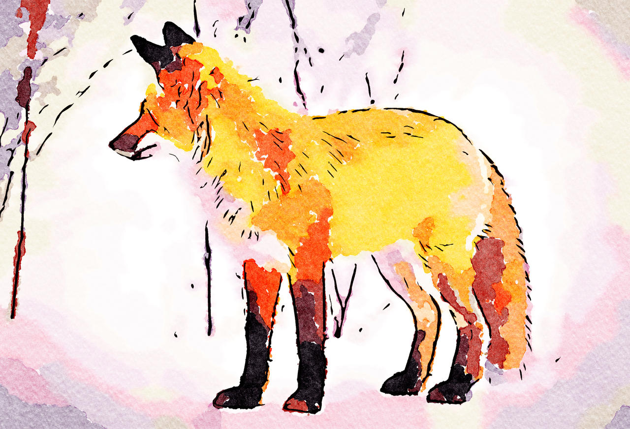 Winter Fox