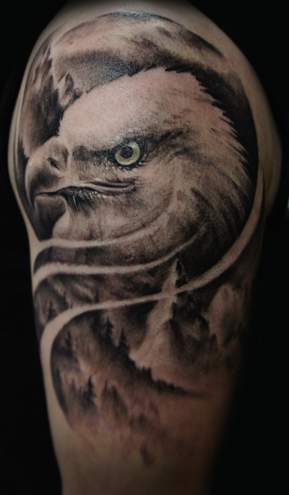 Mountain eagle