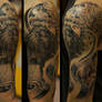 Lion halfsleeve