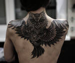 owl by strangeris