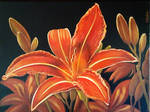 Lily by LencIrina Lily by LencIrina