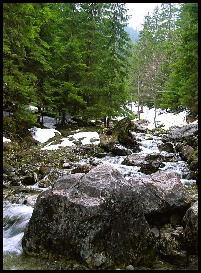 mountain stream