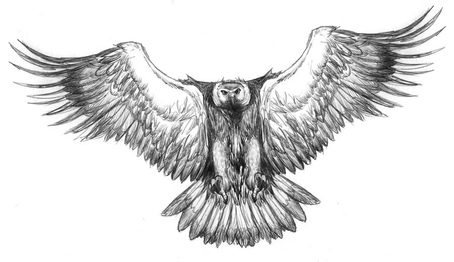 Eagle