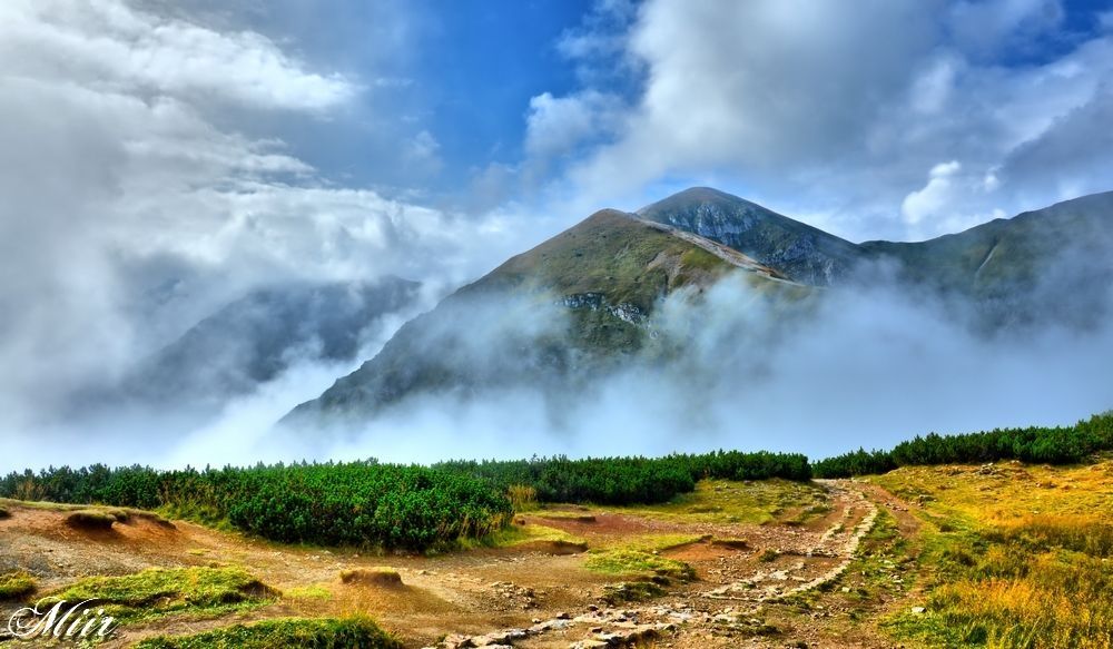 Mountains shrouded in fog.